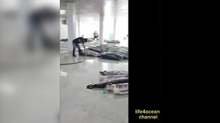 Tuna и swordfish рыбалка в порту Benoa Bali туна и меч рыба в одном выходе