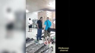 Tuna и swordfish рыбалка в порту Benoa Bali туна и меч рыба в одном выходе