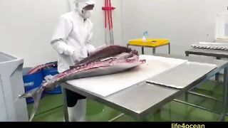 Tuna и swordfish рыбалка в порту Benoa Bali туна и меч рыба в одном выходе