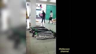 Tuna и swordfish рыбалка в порту Benoa Bali туна и меч рыба в одном выходе