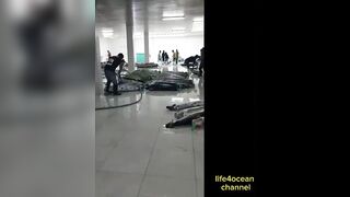 Tuna и swordfish рыбалка в порту Benoa Bali туна и меч рыба в одном выходе