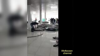 Tuna и swordfish рыбалка в порту Benoa Bali туна и меч рыба в одном выходе