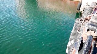 Керчь море полное рыбы прогулка по набережной и разговоры о рыбалке