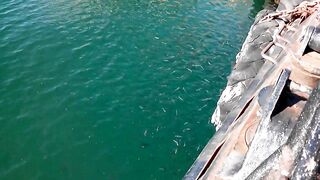 Керчь море полное рыбы прогулка по набережной и разговоры о рыбалке