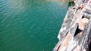 Керчь море полное рыбы прогулка по набережной и разговоры о рыбалке