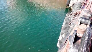 Керчь море полное рыбы прогулка по набережной и разговоры о рыбалке