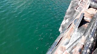 Керчь море полное рыбы прогулка по набережной и разговоры о рыбалке