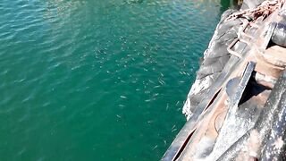 Керчь море полное рыбы прогулка по набережной и разговоры о рыбалке