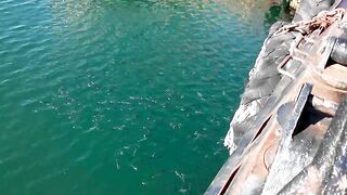 Керчь море полное рыбы прогулка по набережной и разговоры о рыбалке