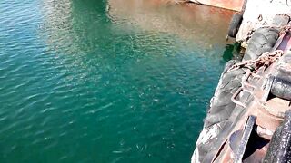 Керчь море полное рыбы прогулка по набережной и разговоры о рыбалке