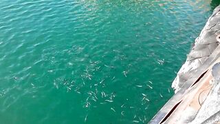 Керчь море полное рыбы прогулка по набережной и разговоры о рыбалке