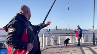 FISH ON на реке Mersey морская рыбалка с берега у устья и неожиданные поклевки