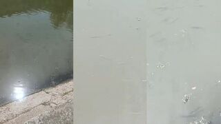 Керчь небольшая речушка полная рыбы семейная рыбалка в тихом уголке Крыма