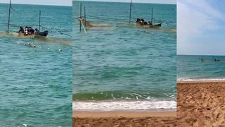 Пока рыбаки идут за уловом местные птицы на причале уже дважды позавтракали