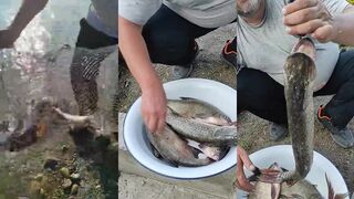 Улов на Симферопольском водохранилище рыбалка в Крыму летом 2025