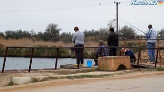 Керчане ловят саргана длинноносый хищник на лёгкой снасти у пирса