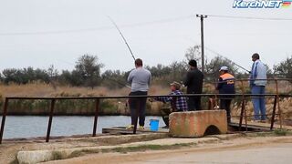 Керчане ловят саргана длинноносый хищник на лёгкой снасти у пирса