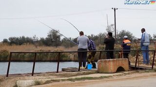 Керчане ловят саргана длинноносый хищник на лёгкой снасти у пирса