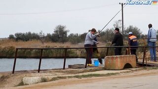 Керчане ловят саргана длинноносый хищник на лёгкой снасти у пирса