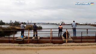 Керчане ловят саргана длинноносый хищник на лёгкой снасти у пирса