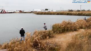 Керчане ловят саргана длинноносый хищник на лёгкой снасти у пирса