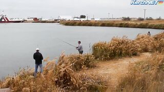 Керчане ловят саргана длинноносый хищник на лёгкой снасти у пирса