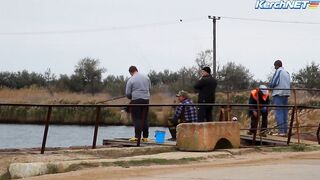 Керчане ловят саргана длинноносый хищник на лёгкой снасти у пирса