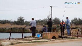 Керчане ловят саргана длинноносый хищник на лёгкой снасти у пирса