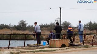 Керчане ловят саргана длинноносый хищник на лёгкой снасти у пирса