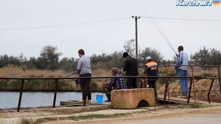 Керчане ловят саргана длинноносый хищник на лёгкой снасти у пирса