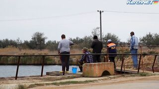 Керчане ловят саргана длинноносый хищник на лёгкой снасти у пирса