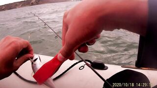 Рыбалка в Керчи у Крымского моста ставрида подходит косяками к берегу