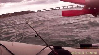 Рыбалка в Керчи у Крымского моста ставрида подходит косяками к берегу