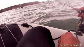 Рыбалка в Керчи у Крымского моста ставрида подходит косяками к берегу