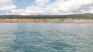 Рыбалка в Керчи у Крымского моста ставрида подходит косяками к берегу