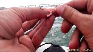 Рыбалка в Керчи у Крымского моста ставрида подходит косяками к берегу