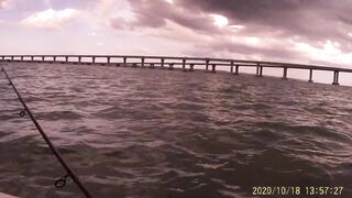 Рыбалка в Керчи у Крымского моста ставрида подходит косяками к берегу