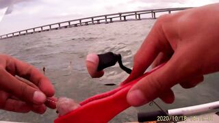 Рыбалка в Керчи у Крымского моста ставрида подходит косяками к берегу