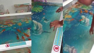 Голодные игры на Хайнане ни чешуи ни рыбы пляж Sanya Dadonghai и китайский отпуск