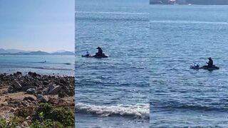 Сбор моллюсков в Dadonghai Bay Китай пляж море и деликатесы прямо под ногами