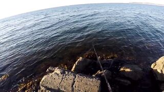 Керченский пролив береговая ловля саргана длинные забросы в сторону моста