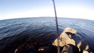 Керченский пролив береговая ловля саргана длинные забросы в сторону моста