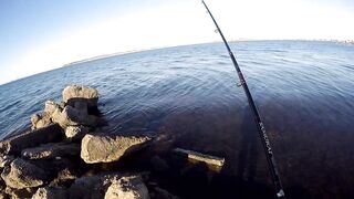 Керченский пролив береговая ловля саргана длинные забросы в сторону моста