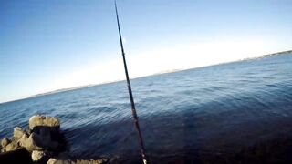 Керченский пролив береговая ловля саргана длинные забросы в сторону моста