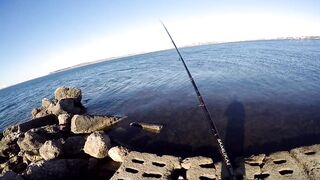 Керченский пролив береговая ловля саргана длинные забросы в сторону моста
