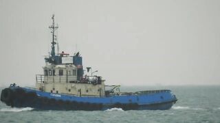 Керчь набережная чуларка на пирсе небольшой но частый улов местных рыбаков