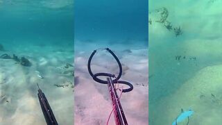 Goatfish или trevally подводная охота на Бали и выбор трофея для catch and cook