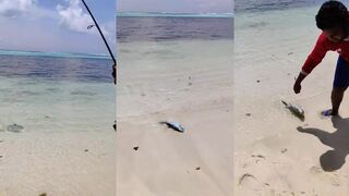 Лёгкий кастинг по bluefin trevally прибрежная морская рыбалка на тропического хищника