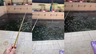 EBI Prawn fishing club Bangkok Таиланд ловля креветки в городской атмосфере