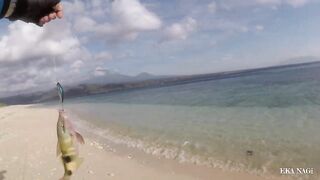 Страйк на нетронутом споте морская рыбалка на западном Бали vlog mancing 34